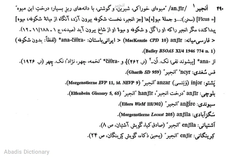 انجیر
