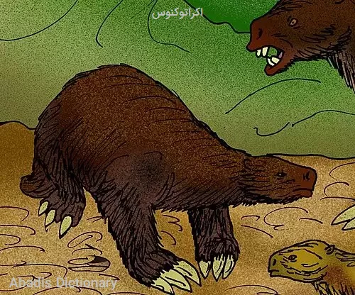 اکراتوکنوس