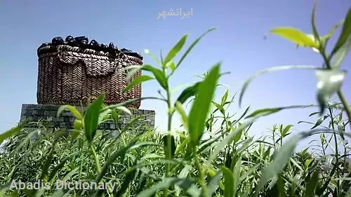 ایرانشهر