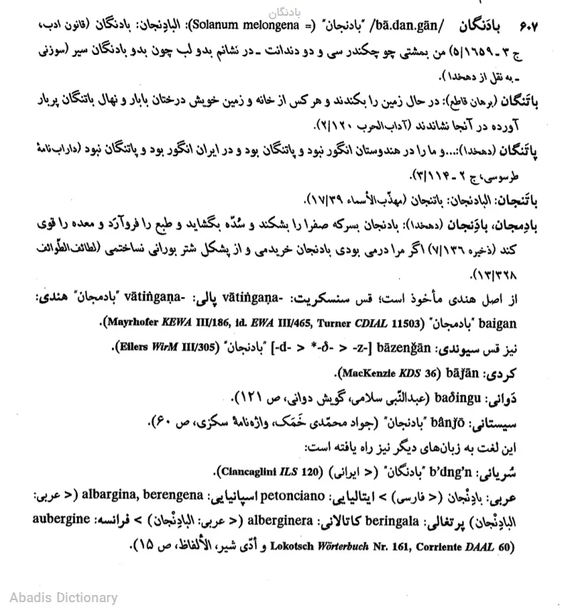 بادنگان