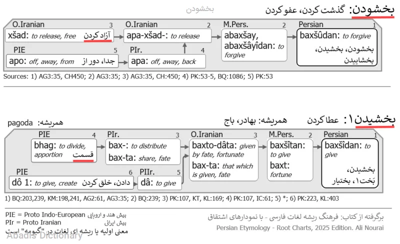 بخشودن