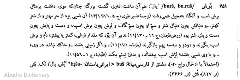 برش