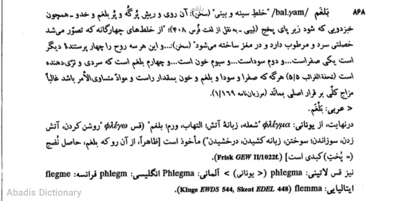 بلغم