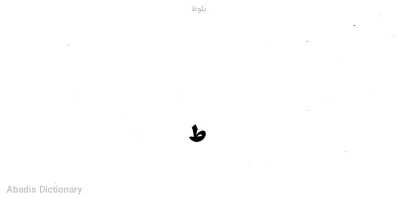 بلوط