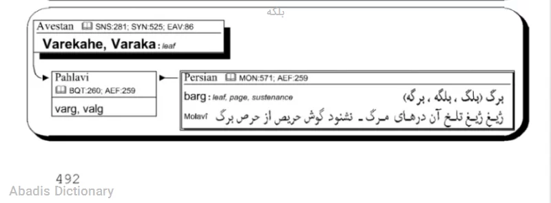 بلکه