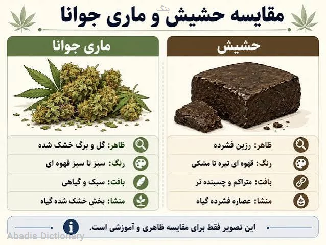 بنگ