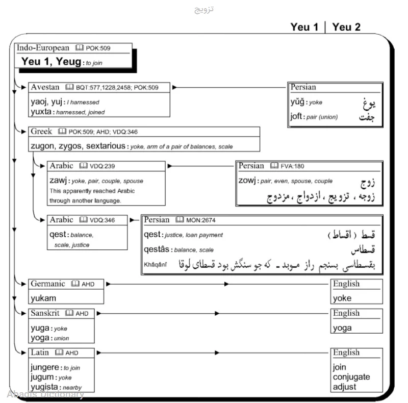 تزویج
