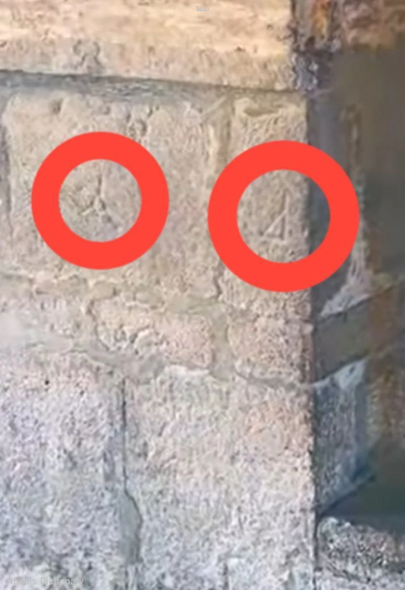 تمغا