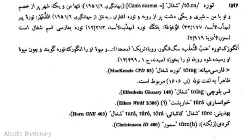 توره