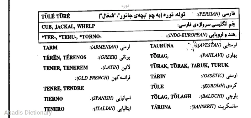 توره