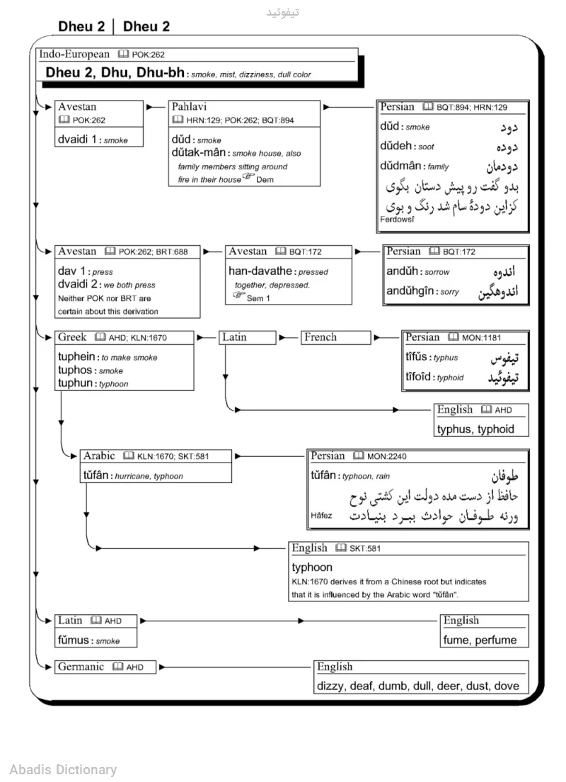 تیفوئید