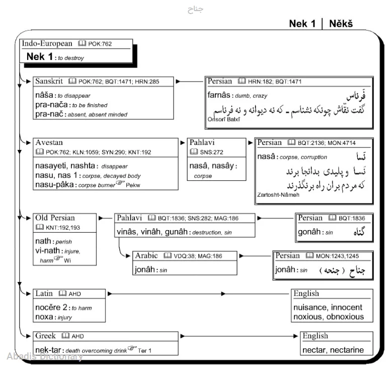 جناح