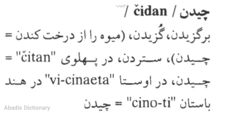 جیب