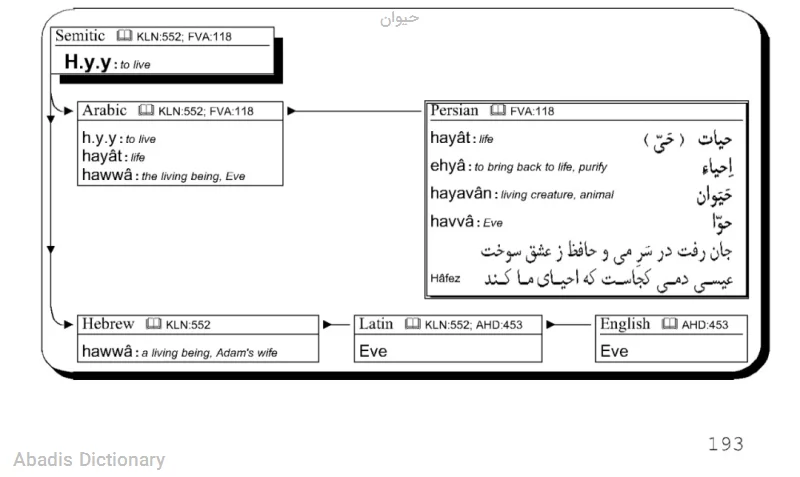 حیوان