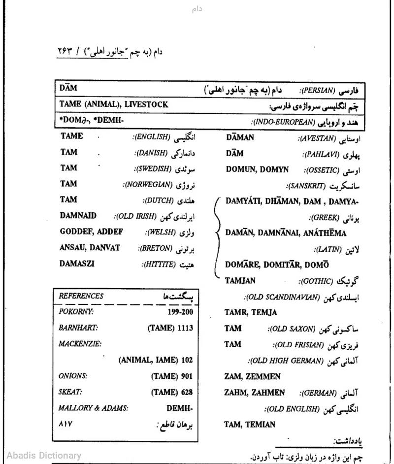 دام