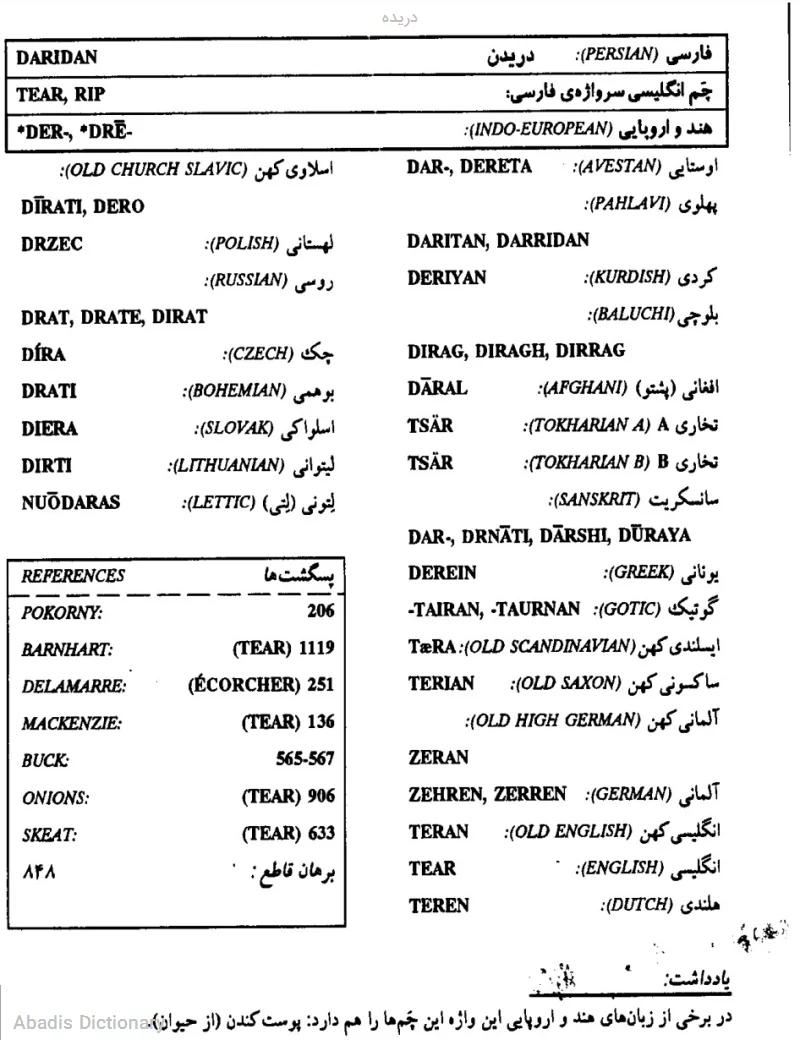 دریده