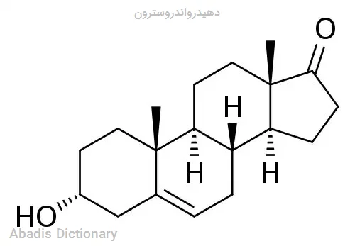 دهیدرواندروسترون