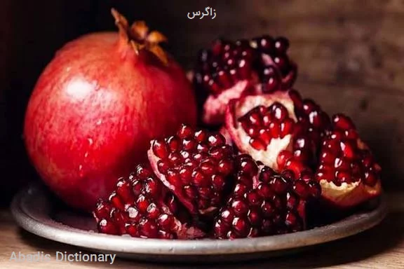 زاگرس