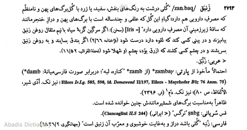 زنبق
