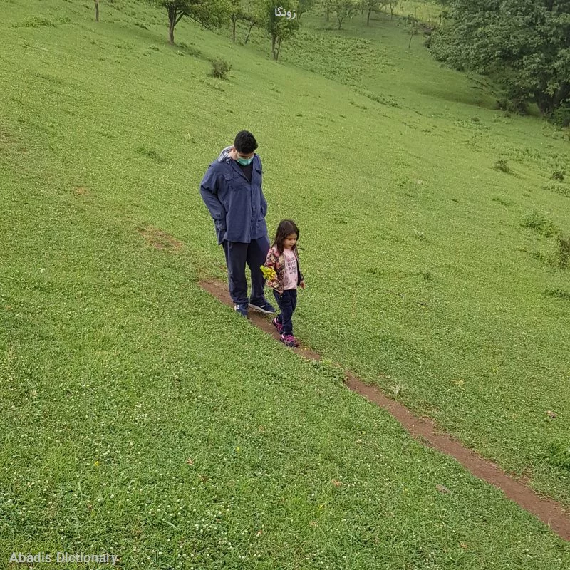 زونگا