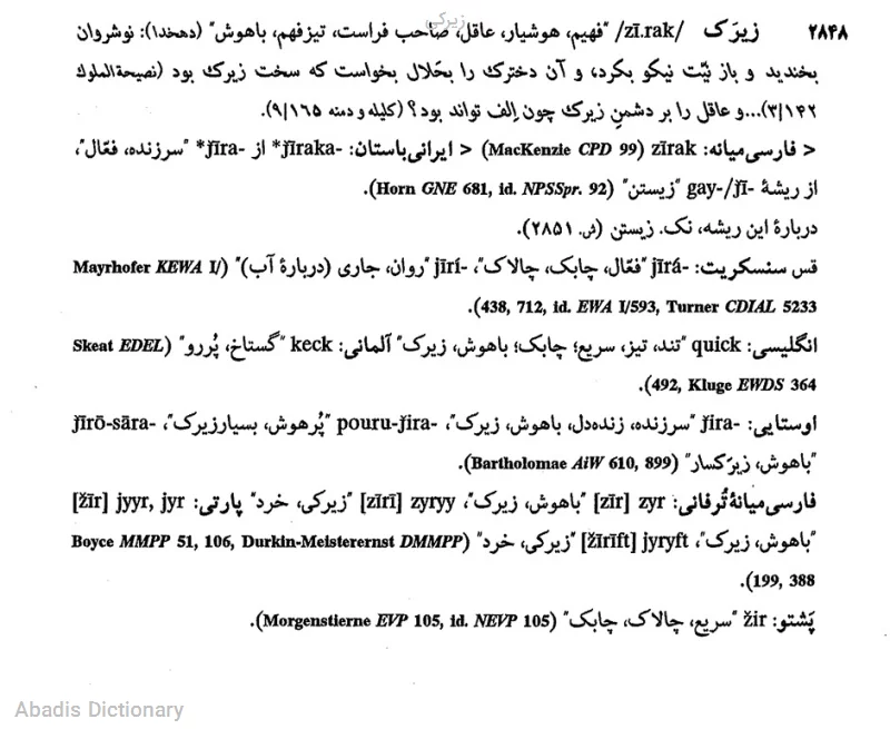 زیرکی