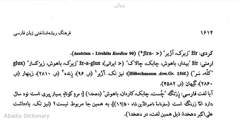 زیرکی