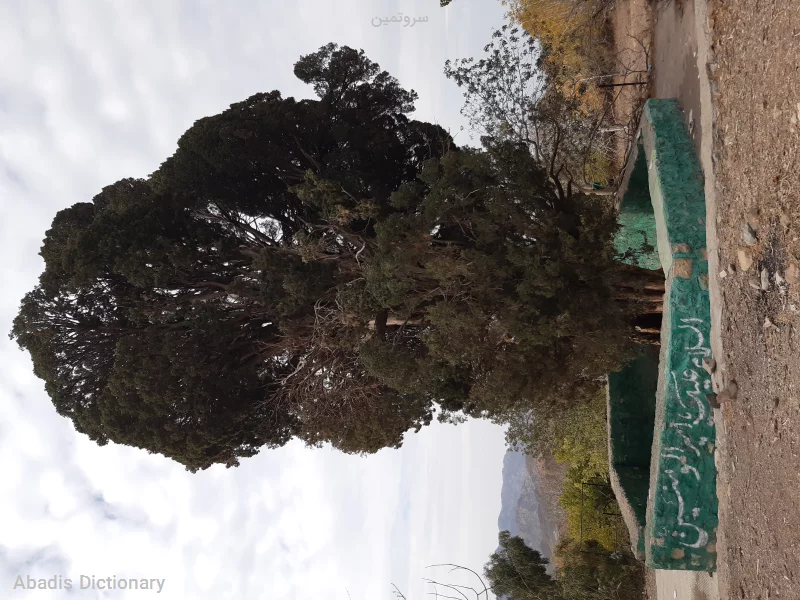 سروتمین