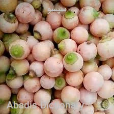 سپسو