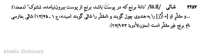 شالی