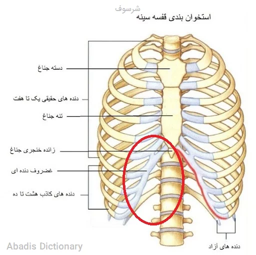 شرسوف