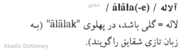 شقایق