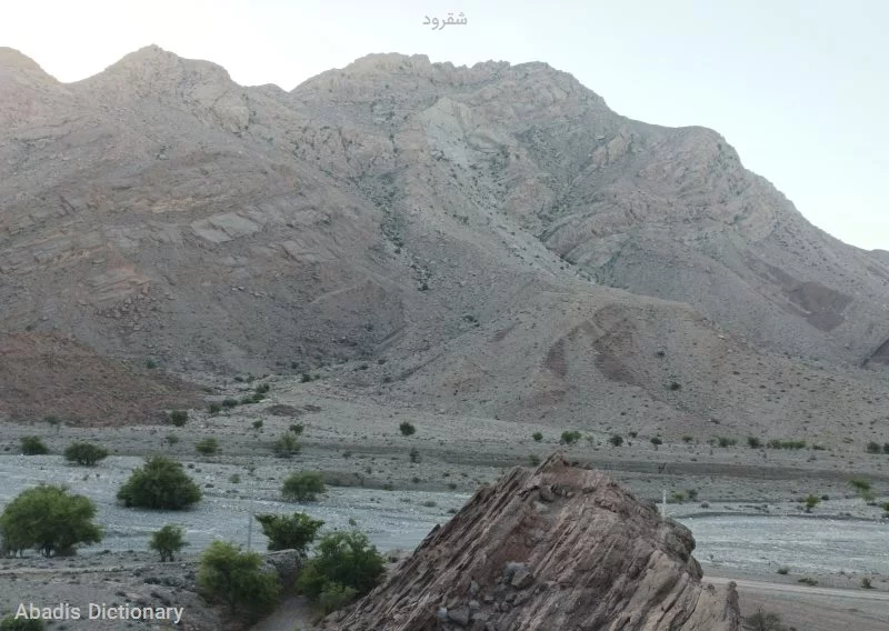شقرود
