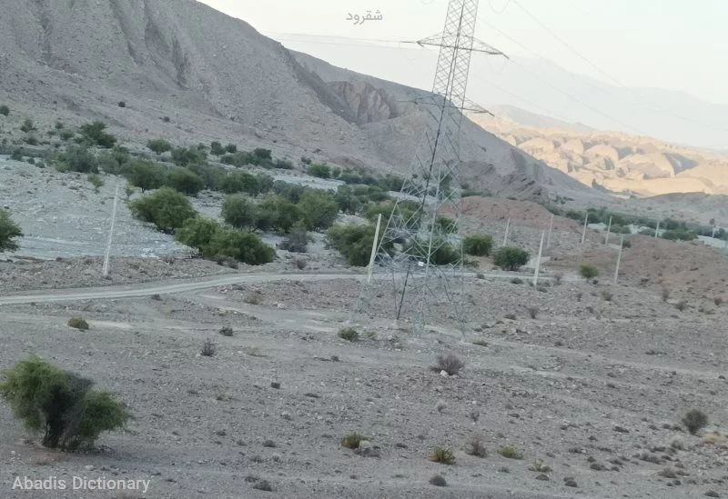 شقرود