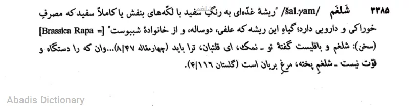 شلغم