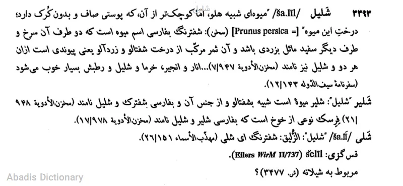 شلیل