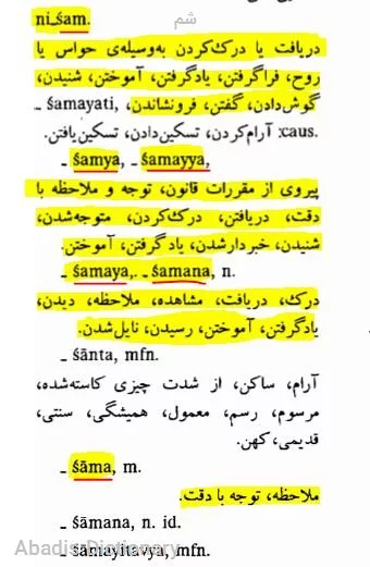 شم معنی در دیکشنری آبادیس