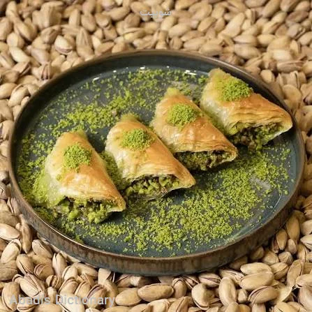 شوبیت