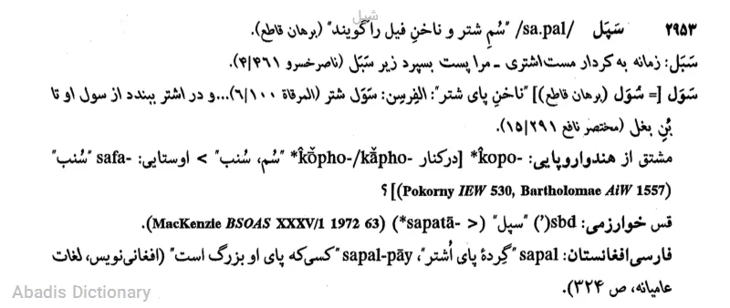 شپل