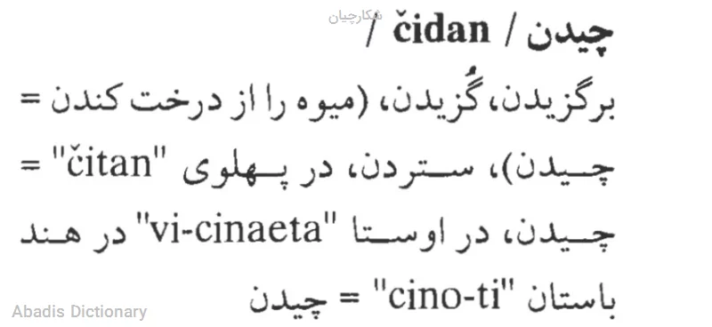 شکارچیان