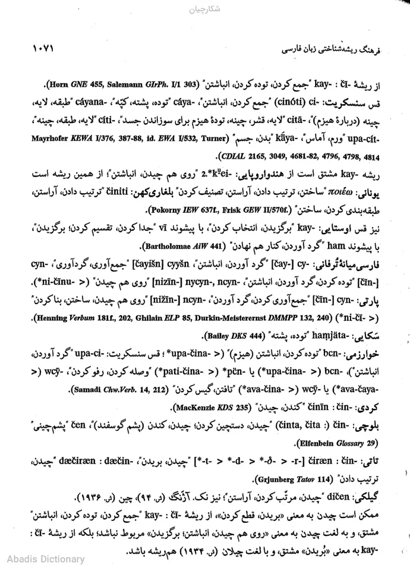 شکارچیان