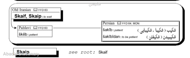 شکیفتن