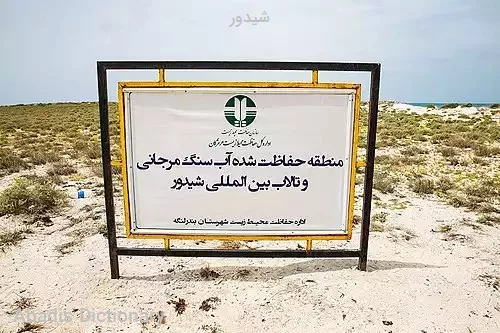 شیدور