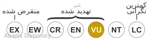 شیر