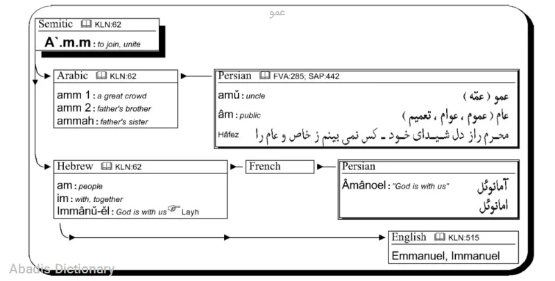 عمو