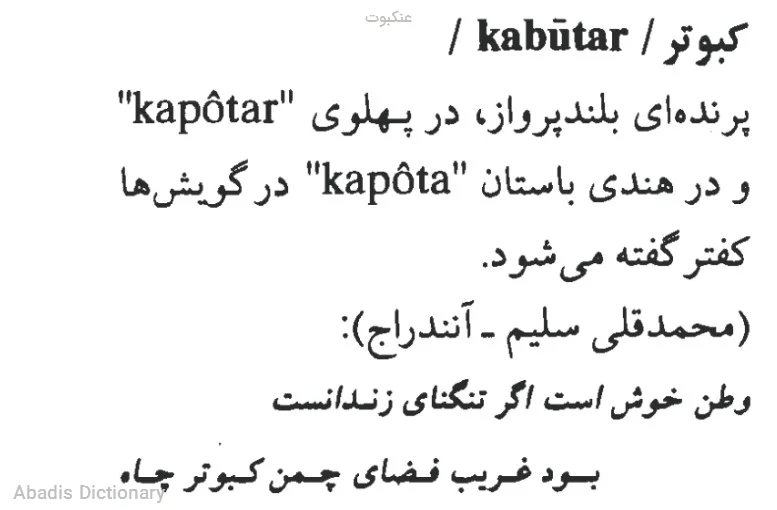 عنکبوت