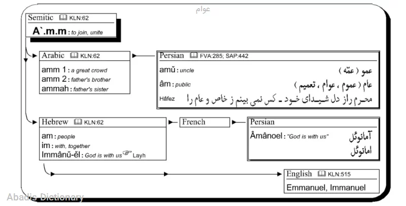 عوام