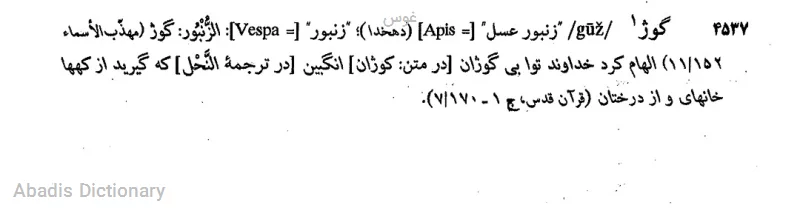 غوس