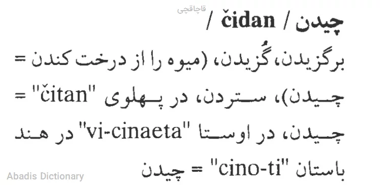 قاچاقچی