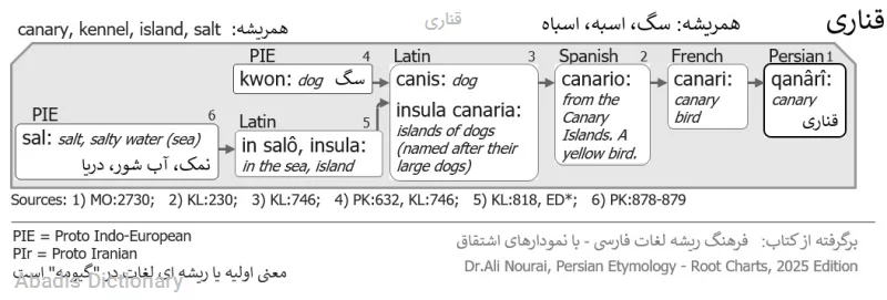 قناری