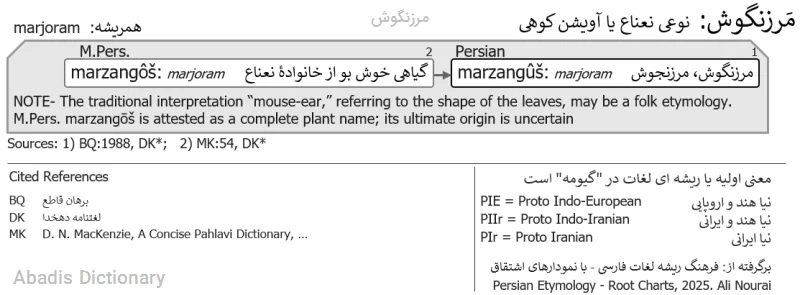 مرزنگوش